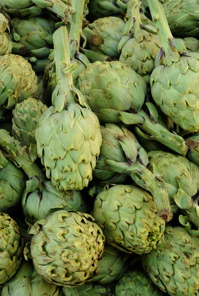 stock image Artichoke