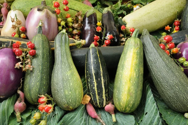 Zöldségfélék — Stock Fotó