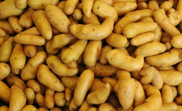 Cartofi — Fotografie, imagine de stoc