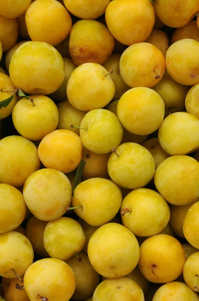 stock image Stall of plums at the market