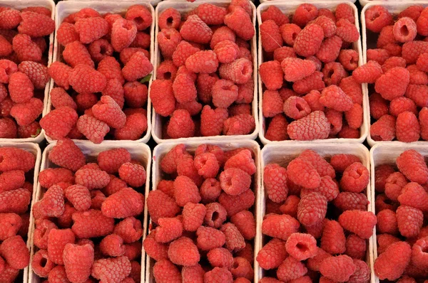 stock image Raspberries