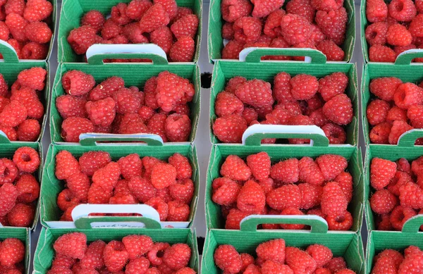 stock image Raspberries