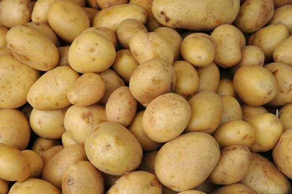 stock image Potato