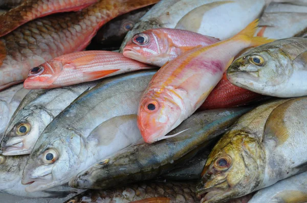 Риба на ринку — стокове фото