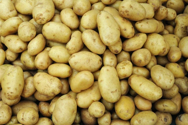 stock image Potato