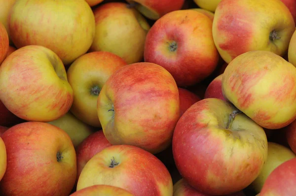 stock image Apples