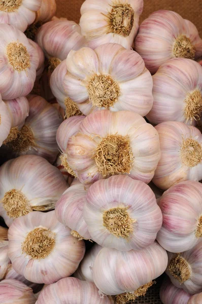 Garlic on the market — Stock Photo, Image