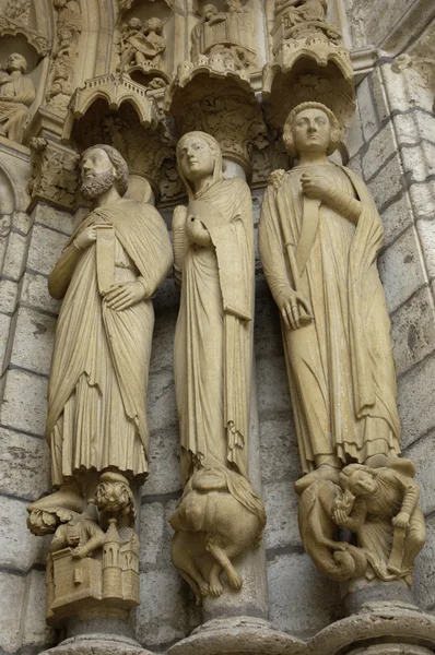 Cathédrale de Chartres — Photo