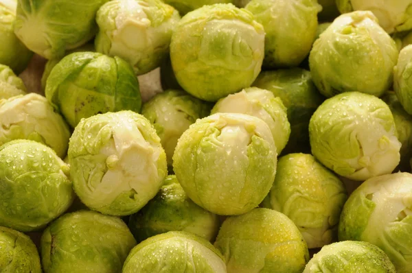 stock image Brussels sprouts