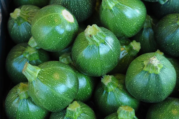 stock image Zucchini