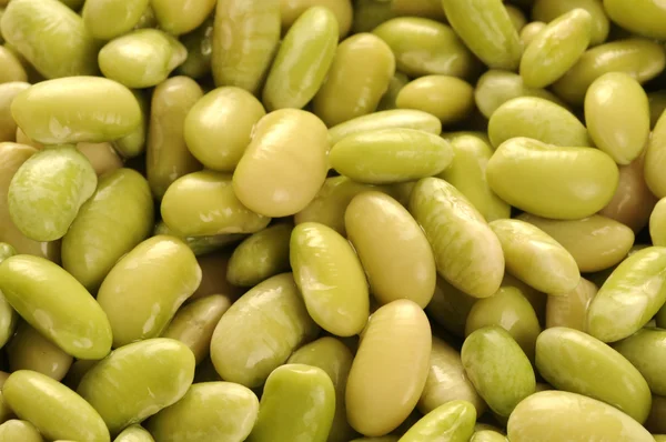 콩을 클로즈업 한 모습 — 스톡 사진