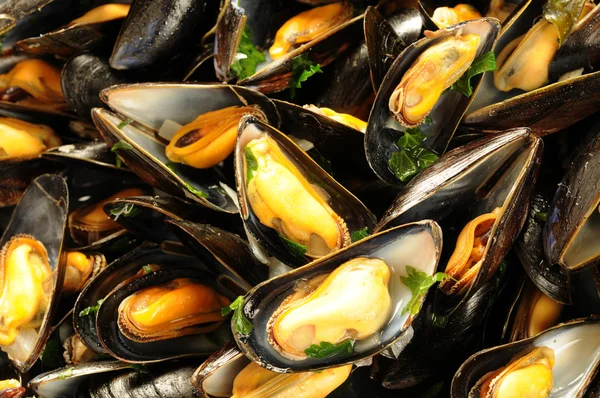 Cozze mariniere — Foto Stock