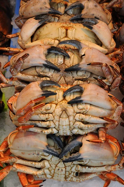 Cangrejos en el mercado en Normandía — Foto de Stock