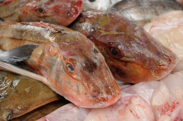 Риба у французькому рибному магазині. — стокове фото