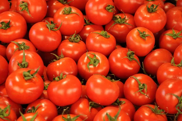 Stock image Tomato