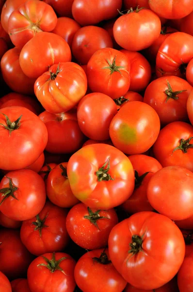 stock image Tomato