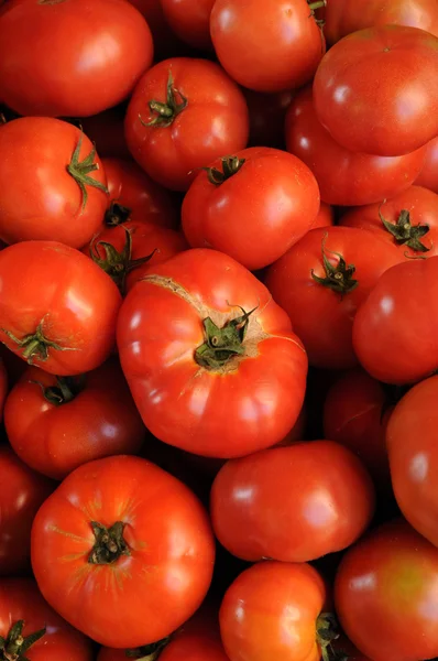 stock image Tomato