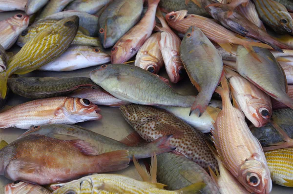 Риби на ринку — стокове фото