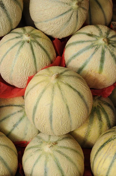 stock image Muskmelon