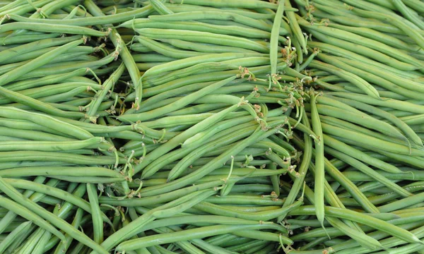 녹색 콩néma-csengő-kék — 스톡 사진