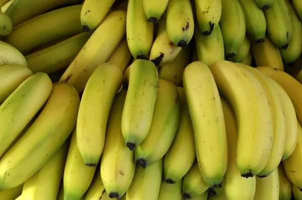 stock image Banana