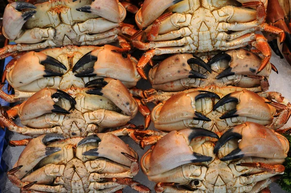 stock image Crabs on the market in Normandy