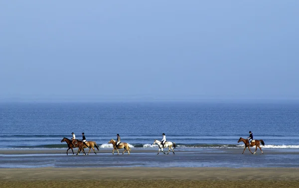 stock image France, riders on the beach in Deauville