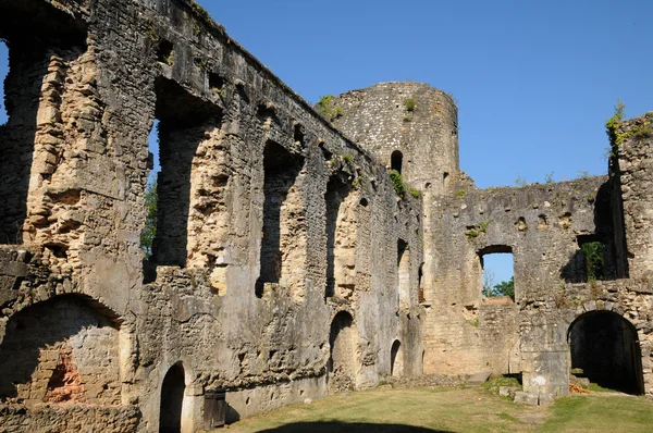 stock image Castle of Villandraut in Gironde