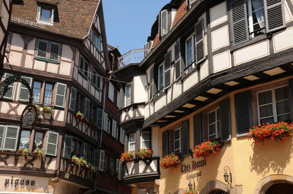 stock image France, Alsace, renaissance house in Colmar