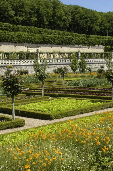 Jardim formal francês de Castelo de Villandry — Fotografia de Stock