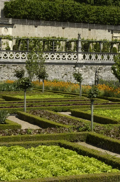 Französisch formalen Garten der Villandry Castel — Stockfoto