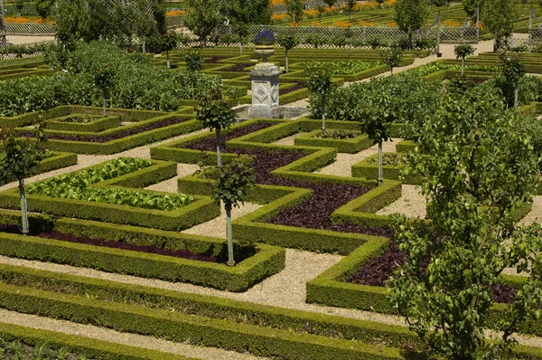 stock image French formal garden of Villandry castel
