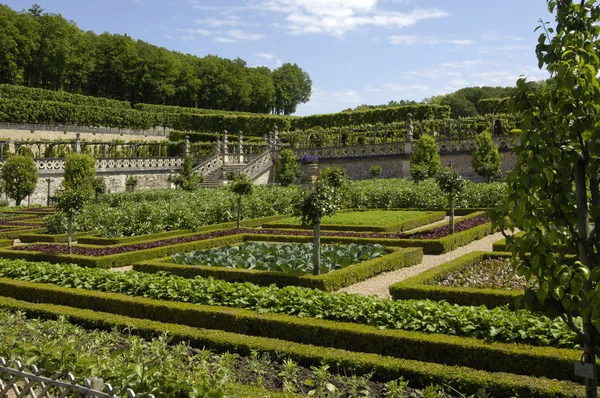ヴィランドリー城のフランス式庭園 — ストック写真