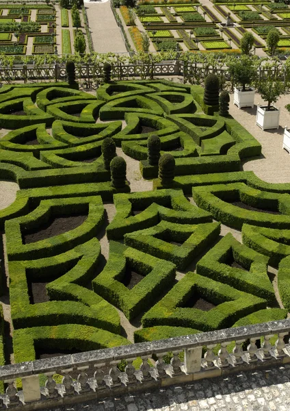 Jardín formal francés del castillo de Villandry — Foto de Stock