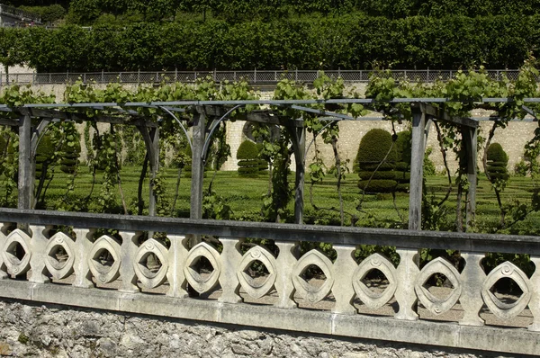Franska formell trädgård i villandry castel — Stockfoto