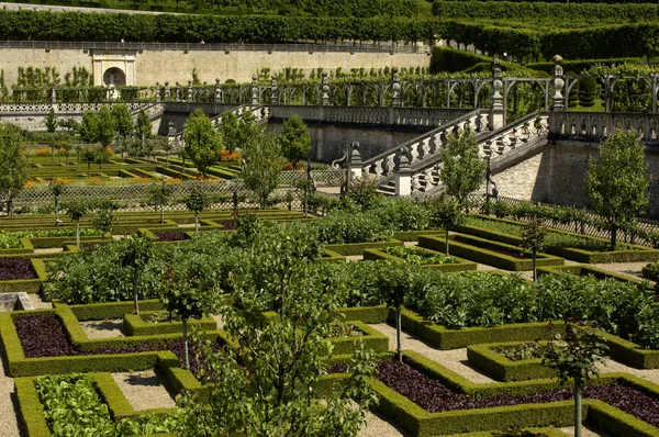 French formal garden of Villandry castel — Stock Photo, Image