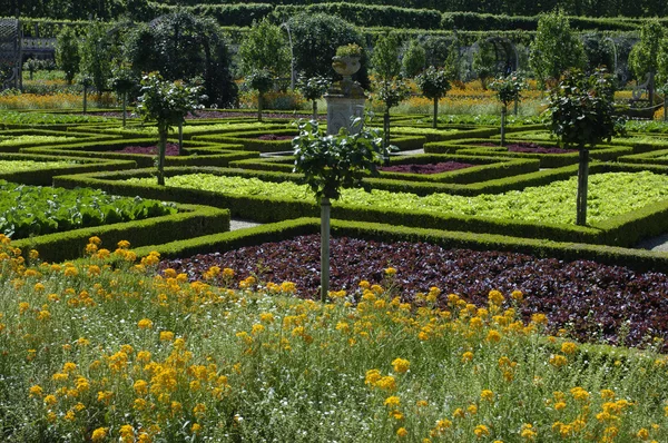 Французький формального саду Вілландрі Кастель — стокове фото