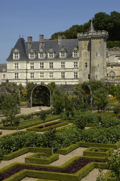 Francie, renesanční zámek villandry — Stock fotografie
