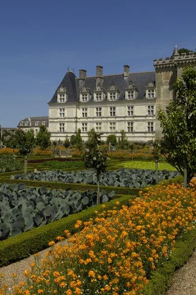 Γαλλία, το αναγεννησιακό κάστρο του villandry — Φωτογραφία Αρχείου