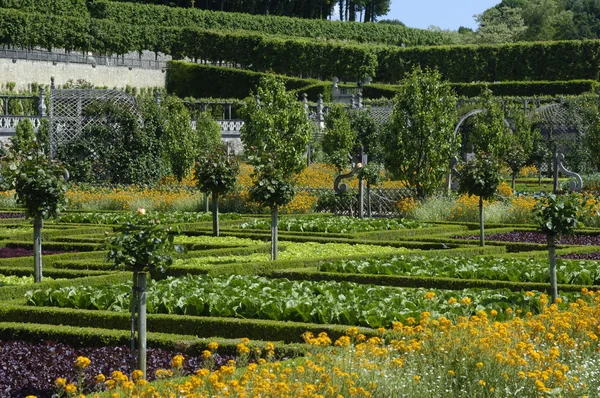 Französisch formalen Garten der Villandry Castel — Stockfoto