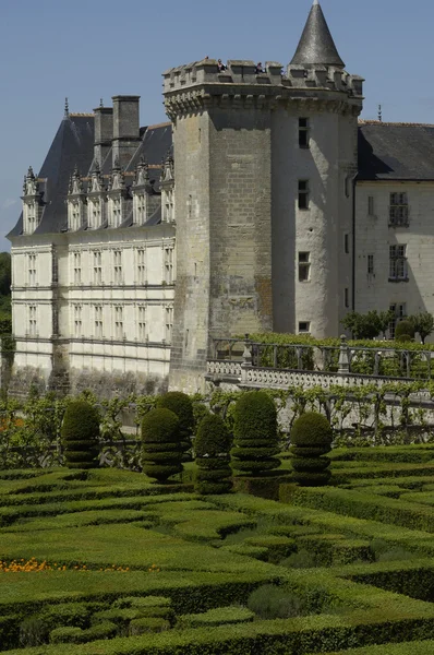 Francie, renesanční zámek villandry — Stock fotografie