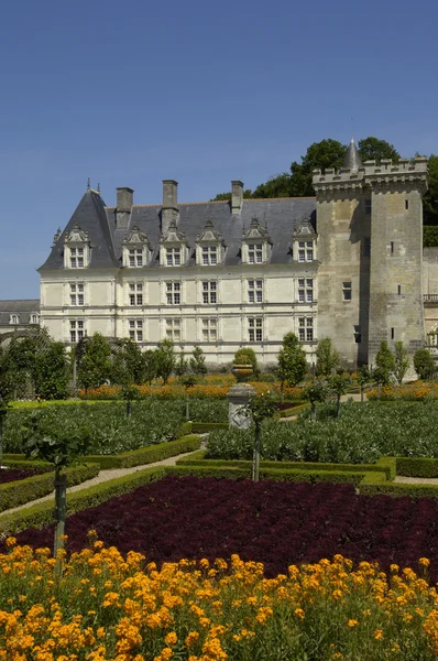 La France, le château renaissance de Villandry — Photo