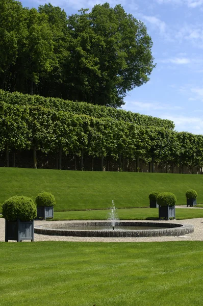 Французский формальный сад замка Вилландри — стоковое фото