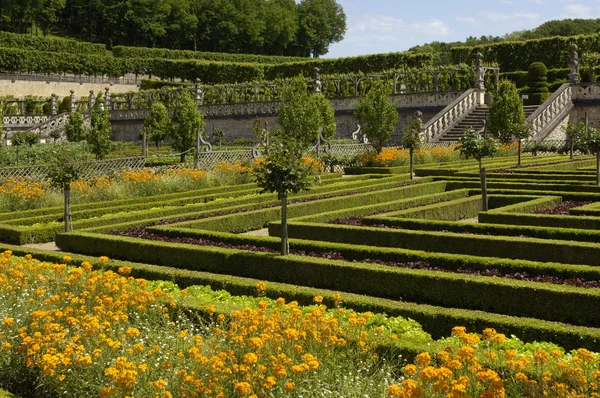 Французький формального саду Вілландрі Кастель — стокове фото