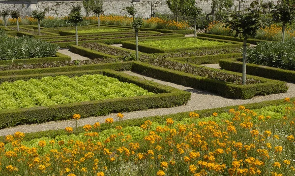 Castel francia hivatalos kert Villandry — Stock Fotó