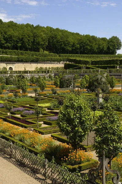 Franse formele tuin van villandry castel — Stockfoto