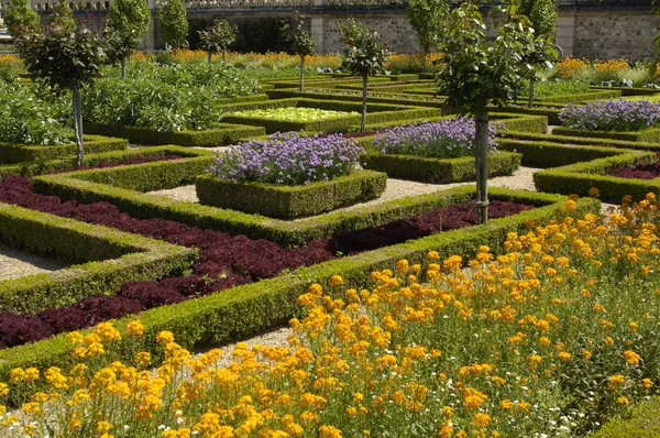 French formal garden of Villandry castel — Stock Photo, Image