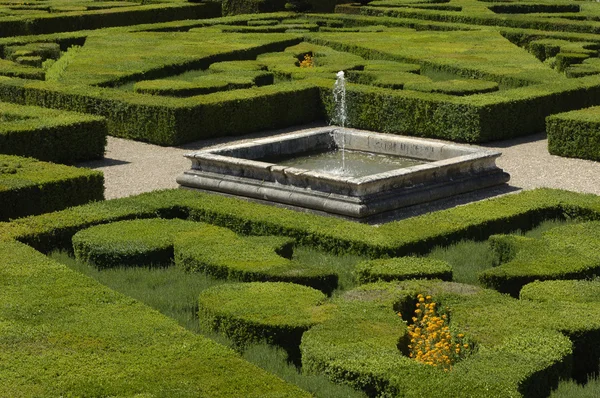 Французский формальный сад замка Вилландри — стоковое фото