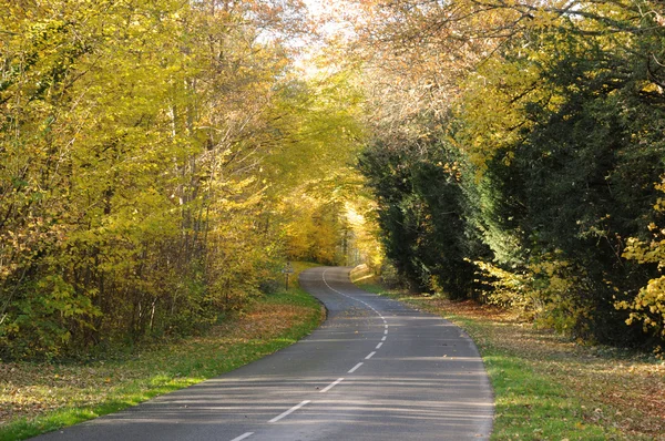 stock image France, a little country road in Chevreuse valley