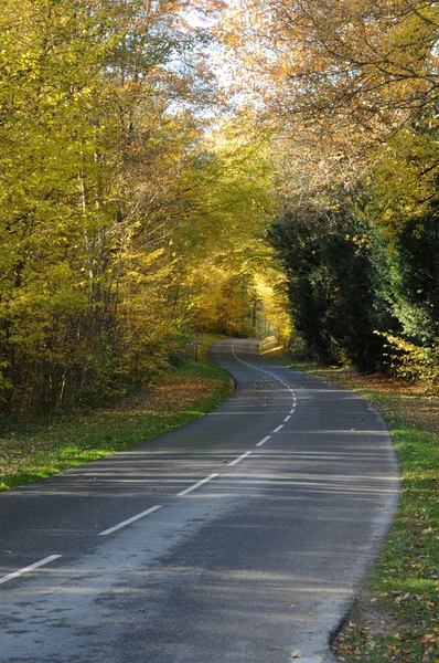 stock image France, a little country road in Chevreuse valley